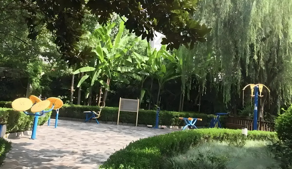 倾楼记