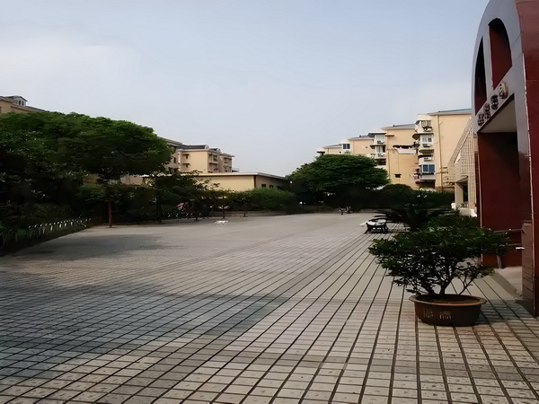 金妇银夫：相公要出嫁